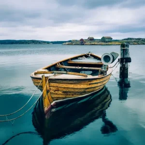 Achat Immédiat De schelp van Bergström posters & art prints door Stefan Gunnarsson - Premium Poster - 50x70