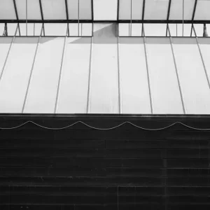 Zwart-witte kas posters & art prints door Alexander Brandstedt - Premium Poster - 50x70 Nouvel Arrivage