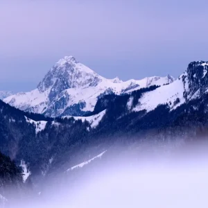 Winterverhalen posters & art prints door Catherine Ravier - Premium Poster - 50x70 Achat Immédiat