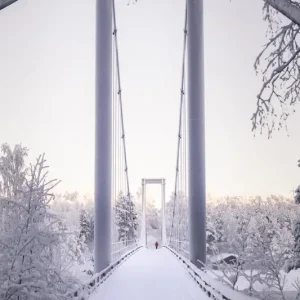 Winteromhelzing: Een vredige, met sneeuw bedekte brug posters & art prints door Daniel Holmgren - Premium Poster - 50x70 Commander Vite