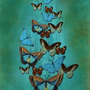 Acheter Direct Butterflies on the wall posters & art prints door Annemarie Ridderhof - Premium Poster - 50x70