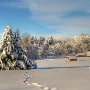 Winter Wonderland: Een vredig met sneeuw bedekt landschap posters & art prints door Peter Mast - Premium Poster - 50x70 Marque