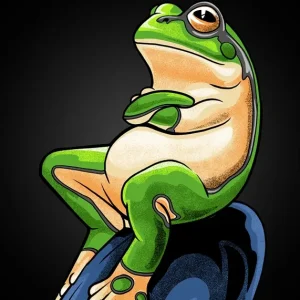 Zelfvoldane Kikker Meme posters & art prints door Adam Khabibi - Premium Poster - 50x70 Meilleure Vente