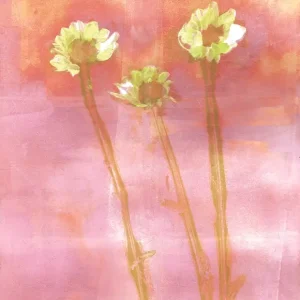 3 bloemen in de zonsondergang posters & art prints door Nina von Åkerman - Premium Poster - 50x70 Jusqu’à Épuisement Des Stocks