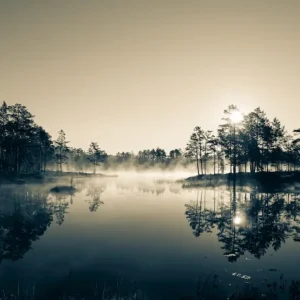 Zonsopgang boven het meer posters & art prints door Valto Kumpula - Premium Poster - 50x70 Offre Exclusive