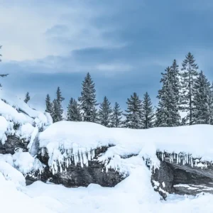 Winter Wonderland: Een vredig met sneeuw bedekt landschap posters & art prints door Bengt Hallmans - Premium Poster - 50x70 Meilleur Choix