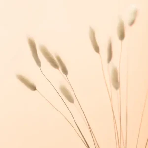 Achat Immédiat Serene minimalisme: zachte grassen in een moderne vaas posters & art prints door Pictufy Studio III - Premium Poster - 50x70