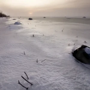 Zonsopgang in mist posters & art prints door Christer Hedlund - Premium Poster - 50x70 Achat Immédiat