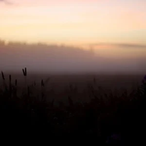 Wolf Uur posters & art prints door Shanelle Normark - Premium Poster - 50x70 Usine Directe