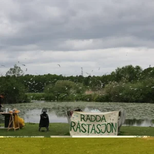 Worst grillen en lachende meeuw posters & art prints door Maria Thiessen - Premium Poster - 50x70 Meilleure Vente