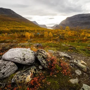 Achat Immédiat Kaitumjaure posters & art prints door David Hjort - Premium Poster - 50x70