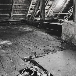 Zolder posters & art prints door Karolina Pasekova - Premium Poster - 50x70 Petit Prix