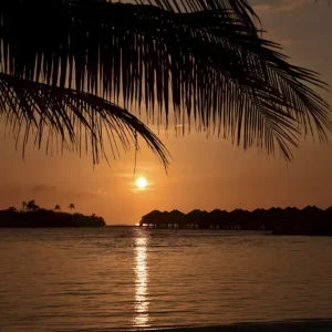 Zonsondergang posters & art prints door Marianne Jenack - Premium Poster - 50x70 Super Prix