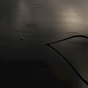 Achat Immédiat Reflectie posters & art prints door Nina Navin - Premium Poster - 50x70