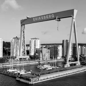 Zwart-witte kraanvogel posters & art prints door Per Christian Reithe - Premium Poster - 50x70 Top Vente