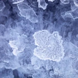 Zeeijs posters & art prints door Maria Capaldi - Premium Poster - 50x70 Dernier Modèle