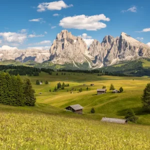 Zomer op de Alpe di Siusi posters & art prints door Michael Valjak - Premium Poster - 50x70 Remise