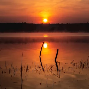 Zonsopgang bij meerkam posters & art prints door Anders Andersson - Premium Poster - 50x70 Réduction