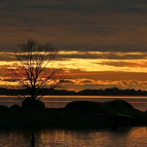 Zonsondergang posters & art prints door Claes Håkansson - Premium Poster - 50x70 Nouveauté