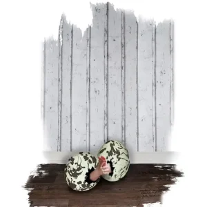 Achat Immédiat Babies posters & art prints door Anna Nilsson - Premium Poster - 50x70