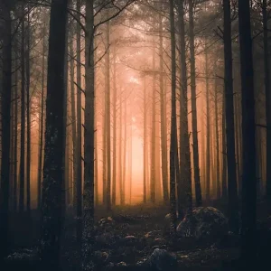 Ze zal het me laten zien. posters & art prints door Ulf Härstedt - Premium Poster - 50x70 Nouvelle Collection