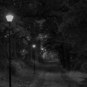 Achat Immédiat De verlichte wandeling posters & art prints door Per Axelsson - Premium Poster - 50x70