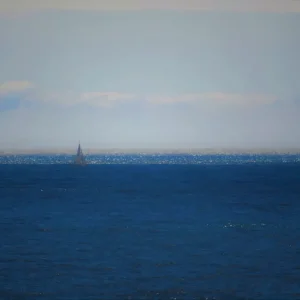 Zeilen in het blauw posters & art prints door Ingela Skullman - Premium Poster - 50x70 Prix Bas