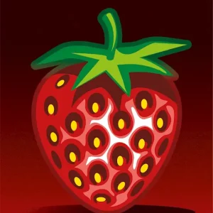 Aardbei posters & art prints door Frans Theis Jensen - Premium Poster - 50x70 Certifié