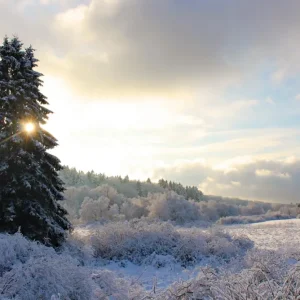 Winterzon posters & art prints door Elena Müller - Premium Poster - 50x70 Réduction