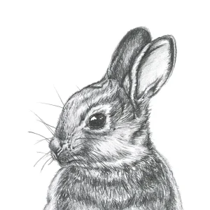 Zachte blik posters & art prints door Lor Muller - Premium Poster - 50x70 Réduction