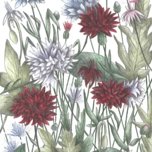 Achat Immédiat Elegance of Garden posters & art prints door Cecilia Battaini - Premium Poster - 50x70