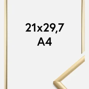 Usine Directe Fotolijst New Lifestyle Goud 21x29,7 cm (A4)