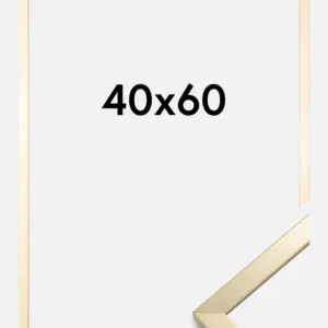 Promotion Fotolijst Trendy Goud 40x60 cm