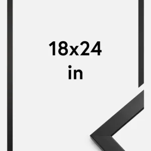 Acheter En Ligne Fotolijst Stilren Zwart 18x24 Inches (45,72x60,96 cm)
