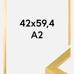 Fotolijsten Goud Breed 42 x 59,4 cm (A2) Acheter Direct