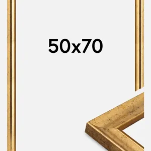 Produit De Marque Fotolijst Conca Goud 50x70 cm