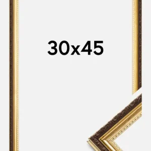 Acheter En Ligne Fotolijst Abisko Goud 30x45 cm