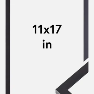 Prix Réduit Fotolijst Selection Zwart 11x17 Inches (27,94x43,18 cm)