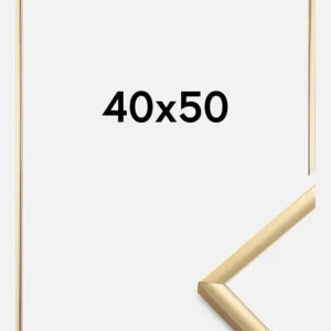 Prix Bas Fotolijst New Lifestyle Goud 40x50 cm
