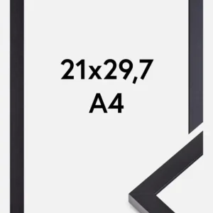 Dernière Chance Fotolijst Selection Acrylglas Zwart 21x29,7 cm (A4)