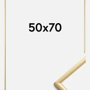 Pas Cher Fotolijst New Lifestyle Goud 50x70 cm