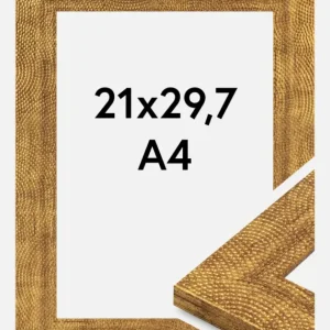 Solde Fotolijst Linea Goud 21x29,7 cm (A4)