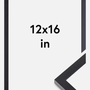 Nouveauté Fotolijst Selection Zwart 12x16 Inches (30,48x40,64 cm)