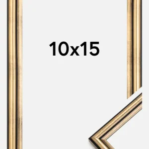 Usine Directe Fotolijst Horndal Goud 10x15 cm