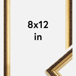 Top Vente Fotolijst Abisko Goud 8x12 Inches (20,32x30,48 cm)