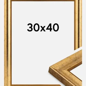Achetez Aujourd’hui Fotolijst Conca Goud 30x40 cm