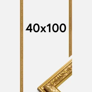 Solde Fotolijst Nostalgia Goud 40x100 cm
