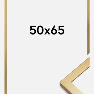 Produit De Marque Fotolijst Minerva Goud 50x65 cm