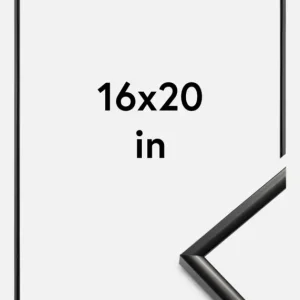 Réduction Fotolijst New Lifestyle Zwart 16x20 Inches (40,64x50,8 cm)