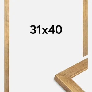Certifié Fotolijst Jämtland Goud 31x40 cm